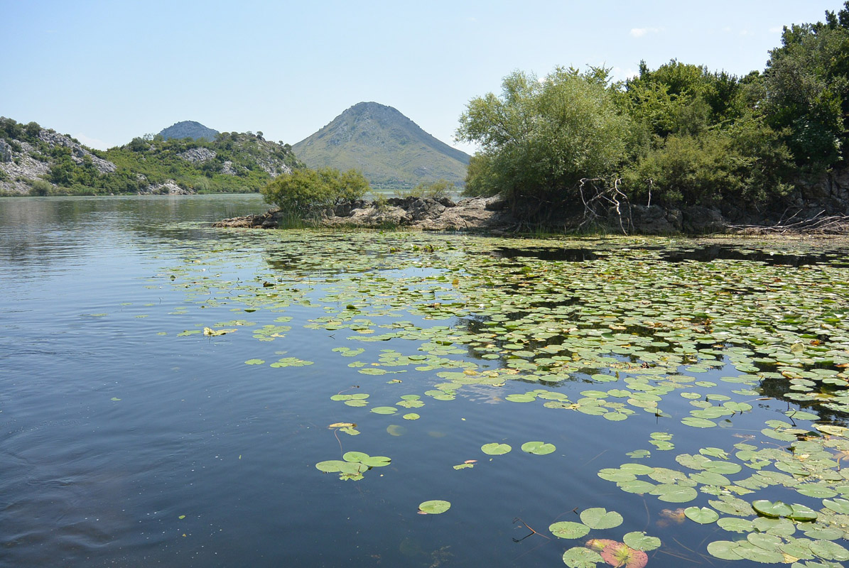 The Skadar Lake and Old Town Skadar